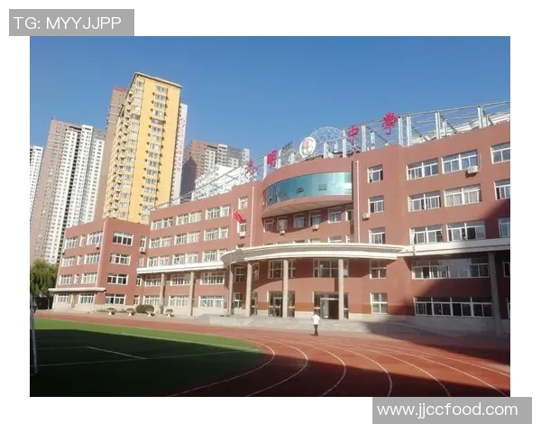 于德豪的奋斗历程与人生哲学探索：从平凡到卓越的成长之路