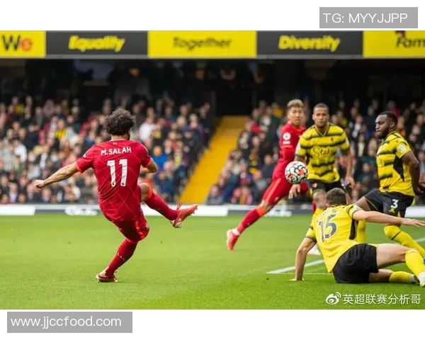 埃弗顿对阵沃特福德直播精彩回放及赛后分析全攻略 埃弗顿对阵沃特福德直播精彩回放及赛后分析全攻略